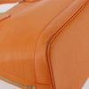 Louis Vuitton Alma Epi