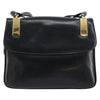 Celine Horse Carriage Leather