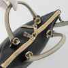 Chloe Bicolor Baylee Satchel Leather