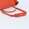 Celine Trapeze Leather with Suede