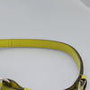 Louis Vuitton Petit Noe Epi Leather