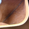 Louis Vuitton Speedy Monogram Canvas