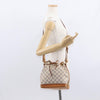 Louis Vuitton Noe Damier