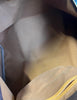 Louis Vuitton Speedy Monogram Canvas