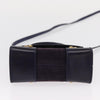 Celine Handbag Suede