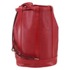 Louis Vuitton Randonnee Epi Leather