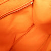 Celine Multicolor Luggage Leather