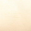 Louis Vuitton Florentine Waist Monogram Canvas