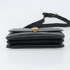 Celine Horse Carriage Leather