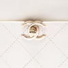 Chanel Small Quilted Goatskin Casual Trip Camera Bag Secondhand