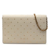 Dior Stars Printed Calfskin Wallet on Chain Secondhand