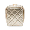 Chanel CC Quilted Metallic Lambskin Cube Zip Clutch with Chain Secondhand