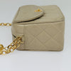 Chanel Vintage Diana Flap Bag Quilted Lambskin