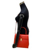 Loewe handbag