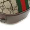 Gucci handbag