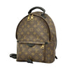 Louis Vuitton backpack