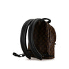 Louis Vuitton backpack