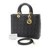 Dior handbag