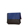 Céline clutch