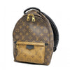 Louis Vuitton backpack