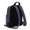 Louis Vuitton backpack
