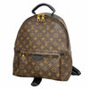 Louis Vuitton backpack