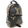 Louis Vuitton backpack