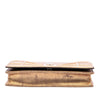 Dior Metallic Calfskin Diorama Wallet on Chain Secondhand