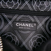 Chanel Coated Canvas Camellia Logo Camera Bag Secondhand