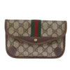 Gucci clutch