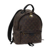 Louis Vuitton backpack