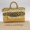 Louis Vuitton handbag