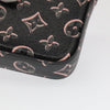 Louis Vuitton clutch