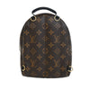 Louis Vuitton Monogram Mini Palm Springs Secondhand