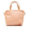 Fendi Mini Zucchino Canvas Handbag Secondhand