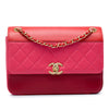 Chanel CC Tricolor Quilted Lambskin Single Flap Secondhand