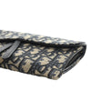 Dior Oblique Canvas Saddle Wallet On Chain Secondhand