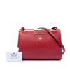 Secondhand Prada Saffiano and City Calf Light Frame Crossbody