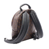 Louis Vuitton Monogram Palm Springs PM Secondhand