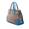 Prada Saffiano Trimmed Canvas Canapa Logo Double Zip Satchel Secondhand