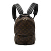 Louis Vuitton Monogram Palm Springs PM Secondhand
