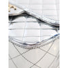 Chanel Quilted Metallic Mirror Calfskin Hollywood Boulevard Backpack Secondhand