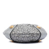 Secondhand LOEWE Anagram Canvas New Road Hobo