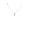 Tiffany & Co necklace