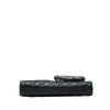Chanel Metallic and Quilted Lambskin Mineral Nights Pochette Wristlet Secondhand