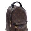 Louis Vuitton Monogram Mini Palm Springs Secondhand
