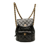 Chanel Medium Quilted Lambskin Duma Backpack Secondhand