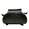 Chanel Medium Quilted Lambskin Duma Backpack Secondhand