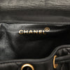 Chanel Medium Quilted Lambskin Duma Backpack Secondhand