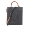 Celine Small Triomphe Coated Canvas Vertical Cabas Tote Secondhand